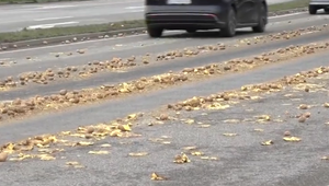 Vysypané zemiaky zaplavili štvorprúdovku: Premávku riadili policajti