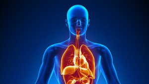 Viac prevencie, lepší život. Kľúčovým hráčom sú zamestnávatelia