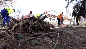 Silný vietor bral všetko, čo mu prišlo do cesty. Niektoré kraje, ale aj lesy TANAPU zostali zdevastované