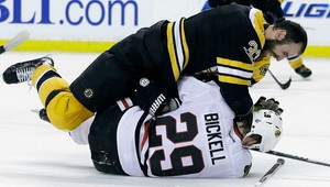 Bickell okúsil zovretie medveďa Cháru, mastenica  na záver