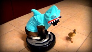 Čo majú spoločné kačka, mačka, žralok a vysávač? Toto...