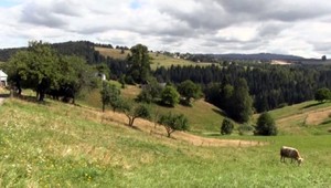 Logická hádanka. Čo musí žena nájsť v balíčku, aby prežila?