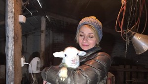 Reportérka TV JOJ na návšteve u zachránených jahniatok