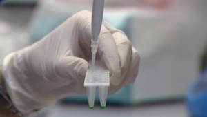 SAV a ministerstvo školstva sú opäť na nože. Výskumníci sa obávajú, že situácia odradí mladých vedcov