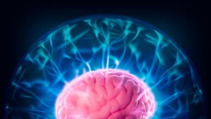 Ľudský mozog vie predpovedať budúcnosť. Vedci vedia, ako to funguje