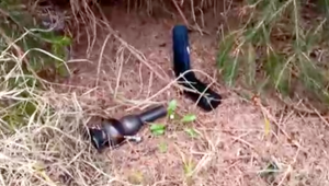 Dvaja tínedžeri sa dostali do poriadnych problémov: Po nehode sa snažili skryť pod stromom drogy