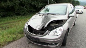 Vodičke vyskočil na cestu jeleň. Brzdiť bolo nemysliteľné, hovorí