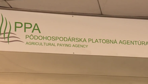 Bývalý výkonný riaditeľ PPA Ľubomír Partika ostáva vo väzbe. Najvyšší súd zamietol jeho sťažnosť