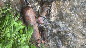 Obyvateľov obce evakuovali pre obavu z bomby. Policajti objavili niečo iné