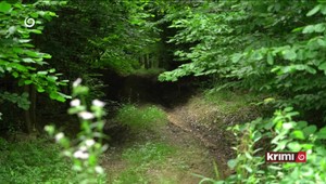 Konflikt v Rusovciach: Inšpekcia životného prostredia sa vyhráža pokutami, farár sa bráni slobodou vierovyznania