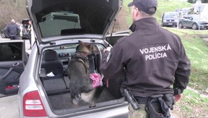 Medzinárodná akcia: Psovodi prehľadávali vozidlá, ktoré smerovali z Ukrajiny na Slovensko