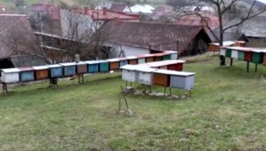 Mladá starostka obce Povina pomohla včelárom vlastnými financiami