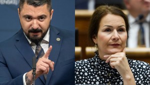 Nehodu P. Gašpara vyšetruje policajná inšpekcia. Vypovedať bola Holečková