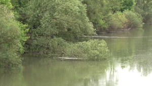 Pytliakov prichytili priamo pri čine