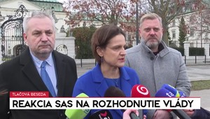 Tlačová beseda: Reakcia SaS na rozhodnutie vlády