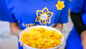 Deň narcisov: Liga proti rakovine spúšťa 29. ročník zbierky