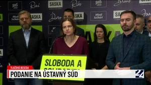 Tlačová beseda strany SaS o podaní na Ústavný súd