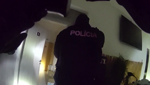 Krátko po prepustení z väzenia sa muž vlámal na čerpaciu stanicu. Ukradol iba ľadový čaj