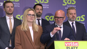 Tlačová beseda strany SaS o zahraničnej politike vlády