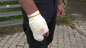 Medveď zaútočil na muža v Závažnej Porube: Spôsobil mu ľahké zranenia