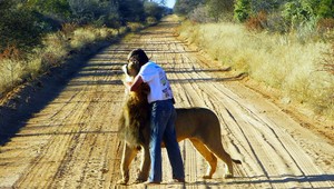 Vzácne priateľstvo medzi mužom a nežným obrom