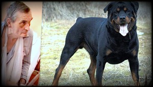 ROZHOVOR. Pes ma zhodil na zem a trhal, tvrdí Vojtech (61)