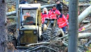 Pilčíka Miroslava (†38) zavalil strom, neprežil