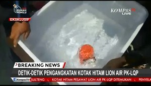 Potápači vytiahli čiernu skrinku zrúteného lietadla. Stále niečo chýba