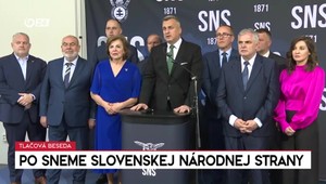 Tlačová beseda Andreja Danka po sneme SNS