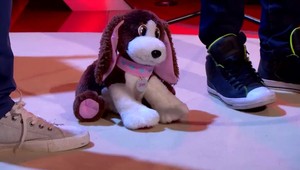 Od smiechu vám potečú slzy: Na mega číslo im stačil len obyčajný plyšový pes!