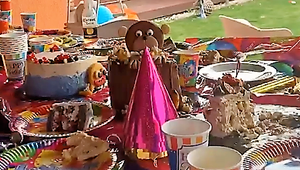 Sanel oslávil 1. narodeniny! Pozrite si FOTKY, ako to u Rytmusa a Jasminy vyzeralo!