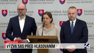 Tlačová beseda SaS k výzve pred hlasovaním