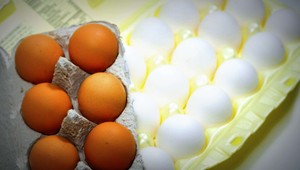 Slováci by si mali dávať pozor na pôvod vajec a hydiny, varuje agrorezort