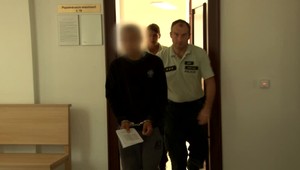 Mladík (21), ktorý tehlou usmrtil malé šteňa, je už za mrežami