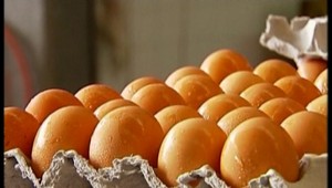 Kríza masla a vajec pred Vianocami utíchne. Otázna je ich kvalita