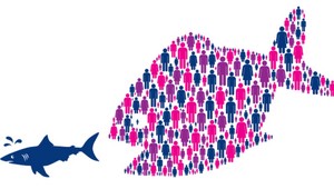 Príjmu politici drzé nápady strany TIP?