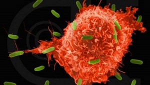 Vedci vyvinuli vakcínu proti najagresívnejšiemu typu rakoviny. Na trh by sa mala dostať o najmenej 5 rokov