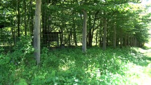 Prechádzka sa zmenila na prekvapenie: Bardejovčan našiel v lese delostreleckú mínu