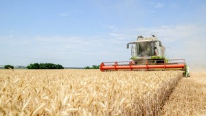 Horúčavy a suchá ničia globálnu úrodu, extrémy počasia sa zhoršia