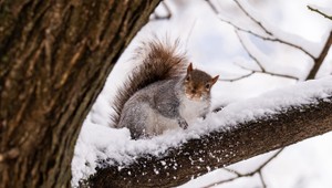Po suchu a hmle je tu zmena. V týchto oblastiach uvidíte prvé snehové vločky