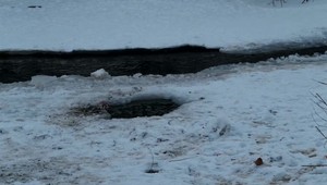 Šokujúci nález v rieke Poprad. Okoloidúci našli lebku