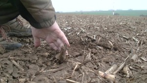 Máme najlacnejší prenájom pôdy. Dôvodov je niekoľko