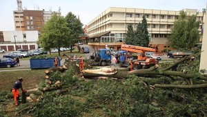 FOTO: Veterná smršť za sebou nechala zničené autá, polámané stromy a paralyzovala dopravu