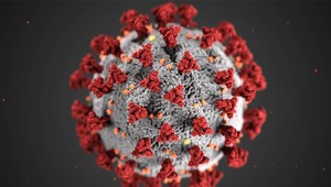 Minister obrany Naď pre TV JOJ: Slovensko zrejme čaká kombinácia lockdownu a celoplošného testovania