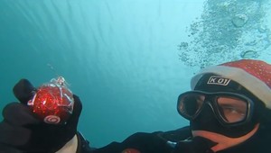 FOTO: Ryby oslávia Vianoce. Podvodný svet nezostal bez stromčeka