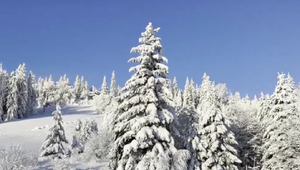 Zima ako na Aljaške. Toto si povieme o počasí najbližšie dni