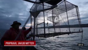 Svet 24 o podmorskom svete aj upíroch