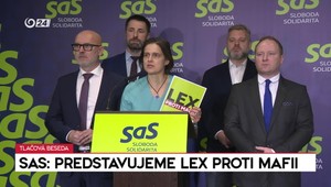 SaS navrhuje zákaz kandidovania odsúdeným za korupciu. „Slovensko nemôžu riadiť mafiáni“