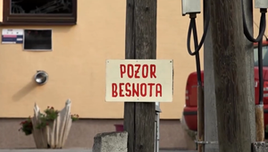 Obyvatelia Horného Zemplína sú v strehu. V jednej obci sa pohyboval jazvec s besnotou