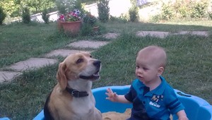 12 najšpinavých miest, kam sa deti dostanú: baktérie číhajú v chladničke, aj vonku na dvore